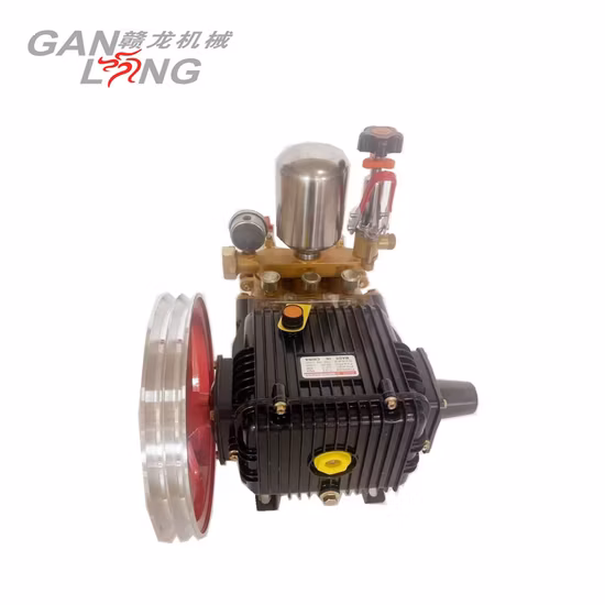 Agricultural 4 Stroke Gasoline Petrol Motor Engine Power Spray Sprayer Pump Pumps