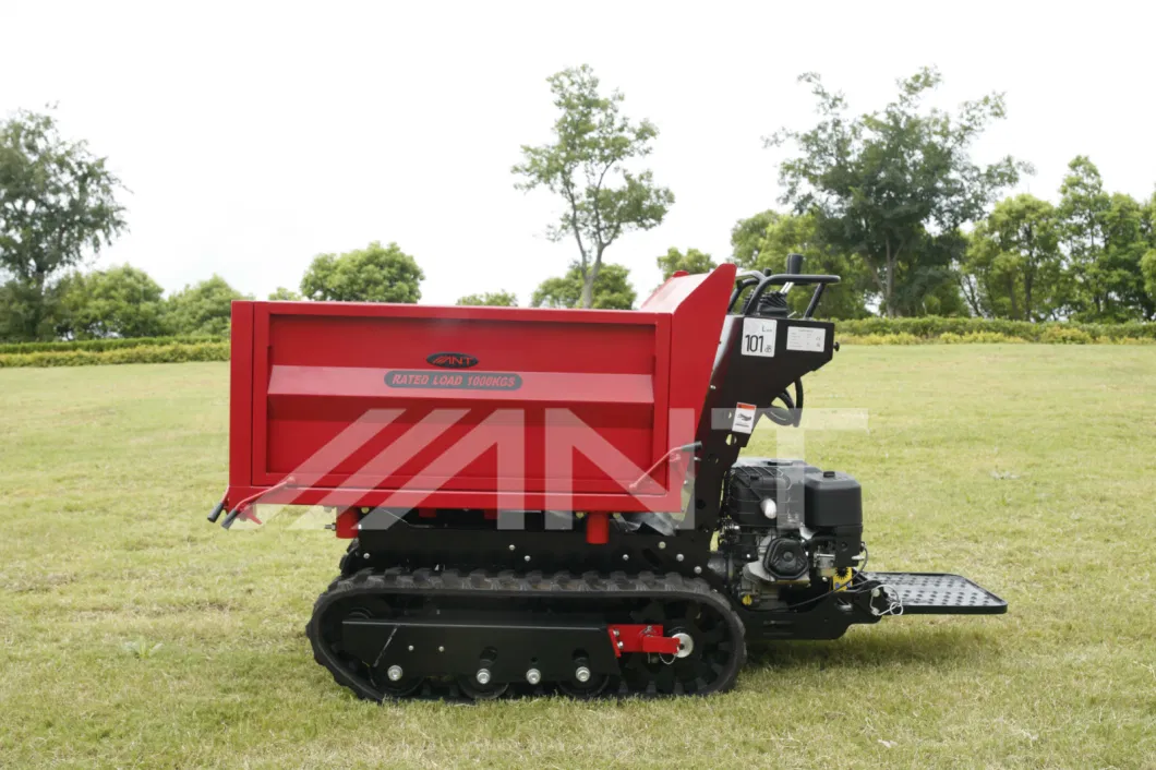 China Power Barrow/Muck Truck/Mini Dumper/Mini Loader By1000 with Ce