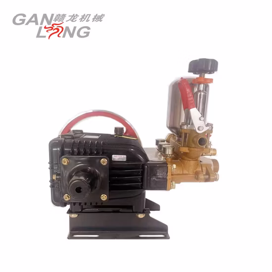 Agricultural 4 Stroke Gasoline Petrol Motor Engine Power Spray Sprayer Pump Pumps