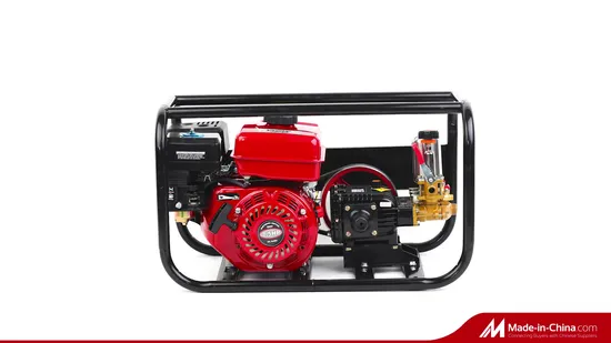 Agricultural 4 Stroke Gasoline Petrol Motor Engine Power Spray Sprayer Pump Pumps