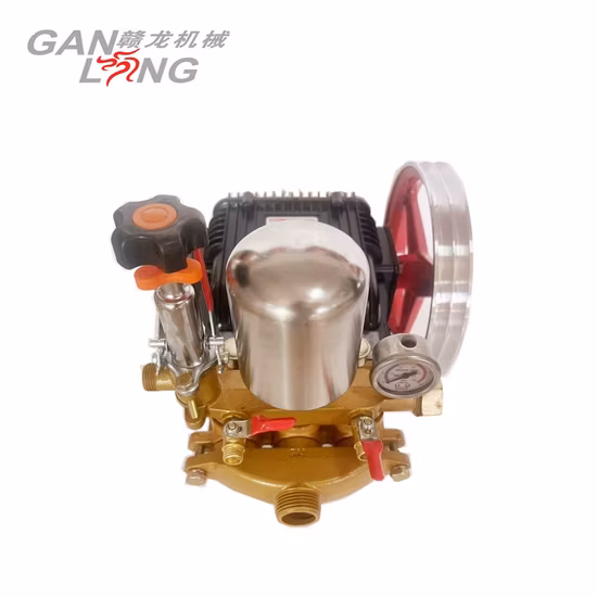 Agricultural 4 Stroke Gasoline Petrol Motor Engine Power Spray Sprayer Pump Pumps