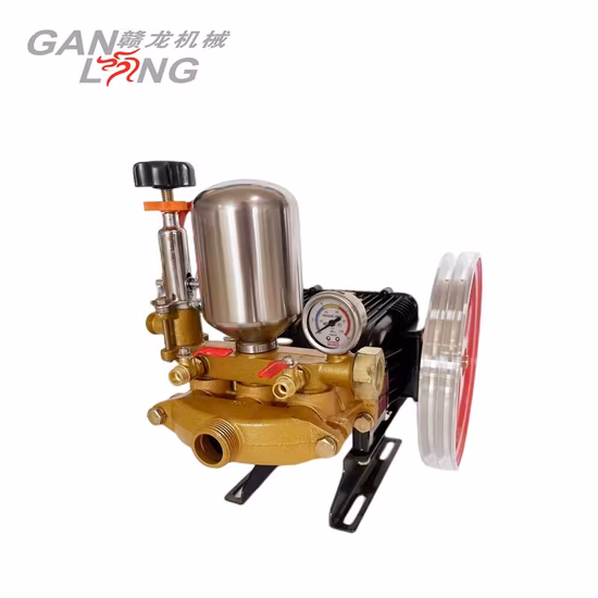 Agricultural 4 Stroke Gasoline Petrol Motor Engine Power Spray Sprayer Pump Pumps